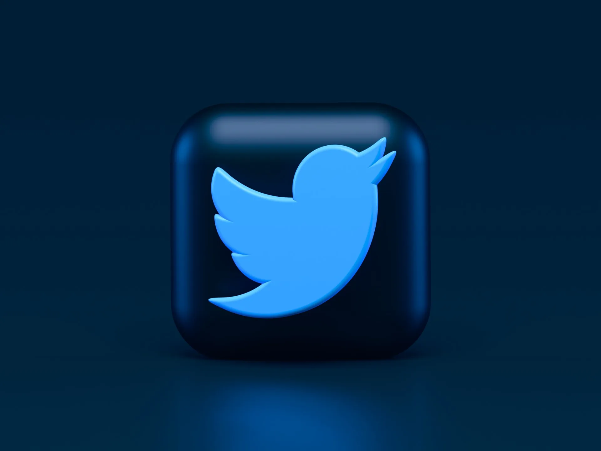 3d twitter logo illustration