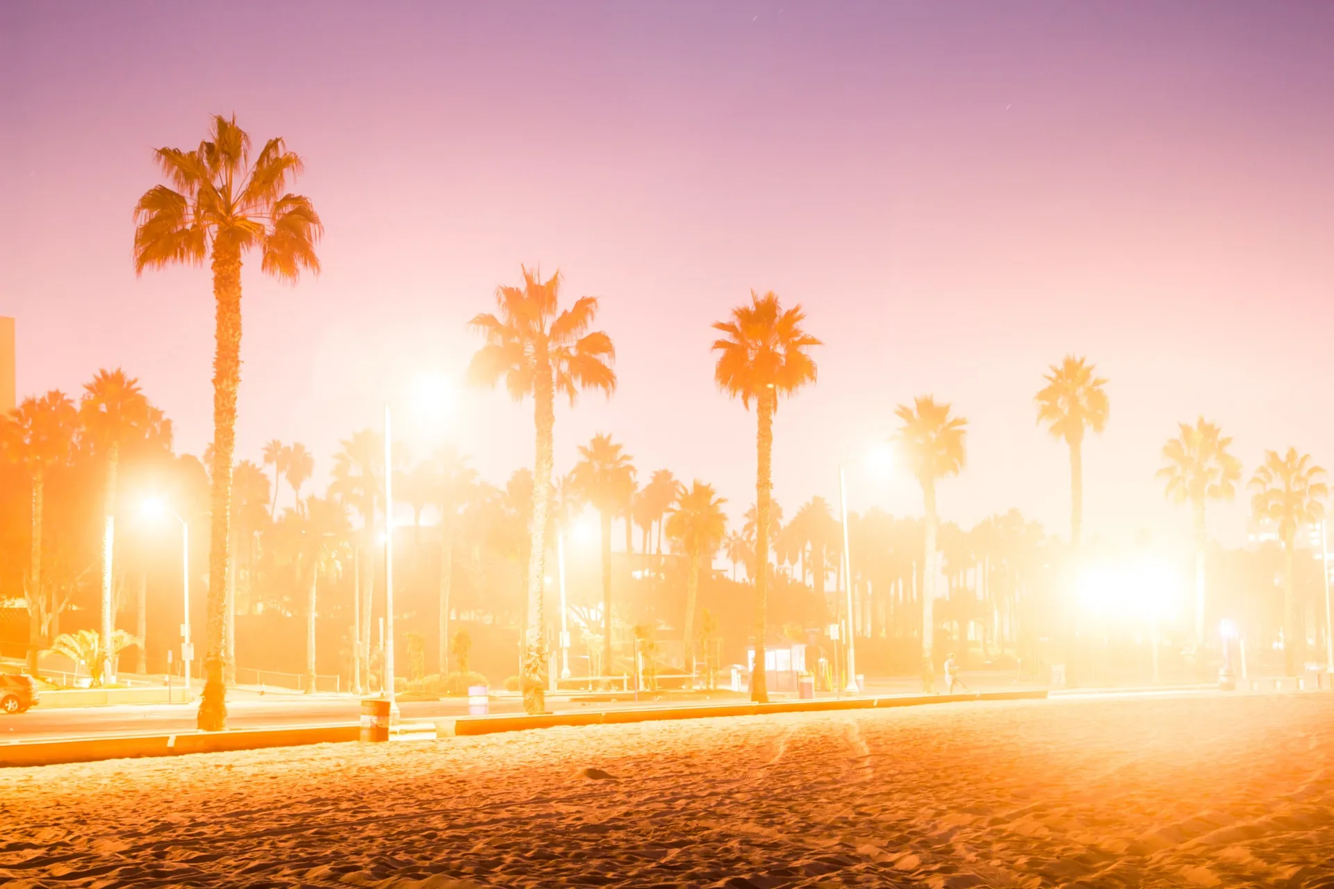 Beach with palm trees on a sunset