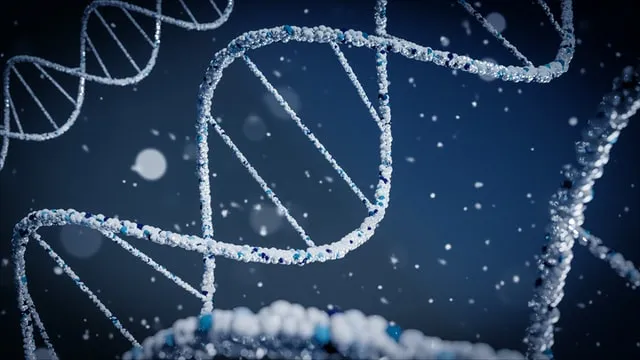 digital art of a DNA strand